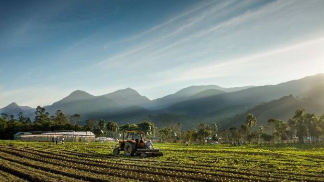 Foto: Ricardo Wolffenbüttel / Secom