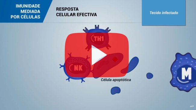 IMUNIDADE MEDIADA POR CÉLULAS