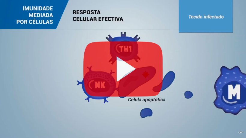 IMUNIDADE MEDIADA POR C&Eacute;LULAS
