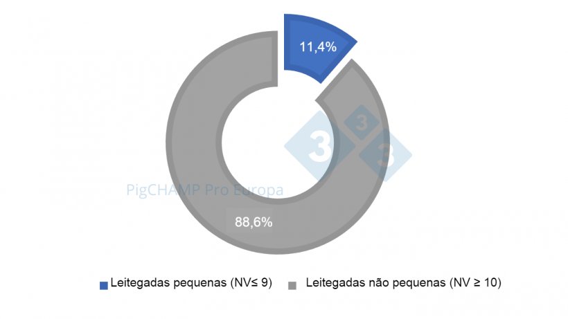 Gr&aacute;fico 1. Distribui&ccedil;&atilde;o percentual de leitegadas de acordo com o tamanho, 2018-2019.
