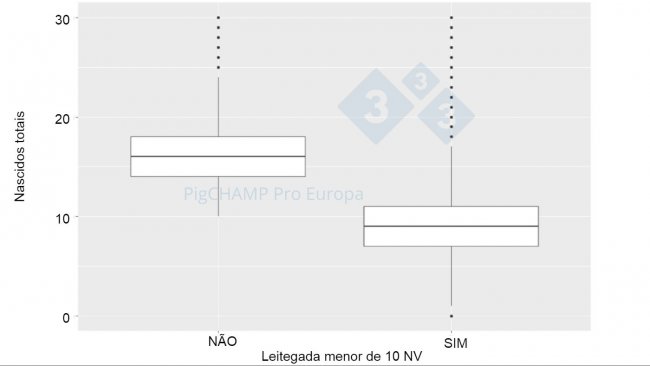 Gráfico 4. Representação gráfica por meio de box plot do número total de leitões nascidos de acordo com o tamanho da leitegada, 2018-2019.