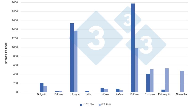 Casos de PSA em javalis (1º trimestre de 2021 vs 1º trimestre de 2020)