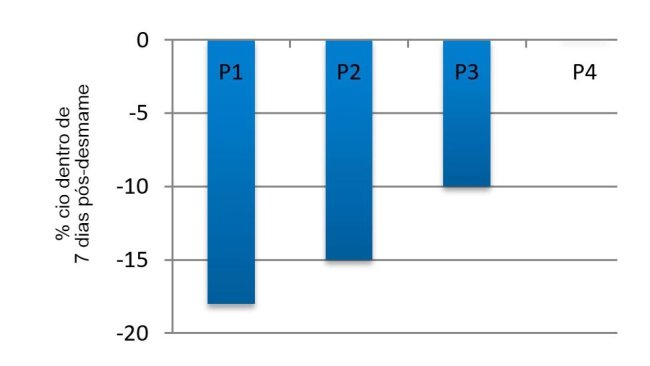 Imagem 3. Efeito do ciclo na porcentagem de porcas expressando cio nos primeiros 7 dias pós-desmame no verão em comparação com a primavera (adaptado de Belstra e outros, 2004)