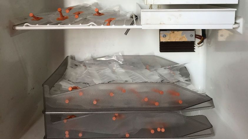 Foto 1. Colocar as doses em bandejas dispostas umas sobre as outras para evitar a sedimenta&ccedil;&atilde;o inadequada dos espermatoz&oacute;ides e facilitar sua movimenta&ccedil;&atilde;o peri&oacute;dica para sua homogeneiza&ccedil;&atilde;o.
