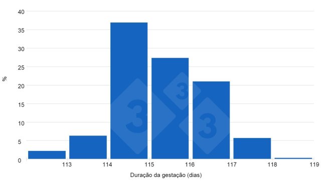 Gráfico 1. As respostas dos usuários da 333 indicam uma tendência das gestações serem superiores a 115 dias.