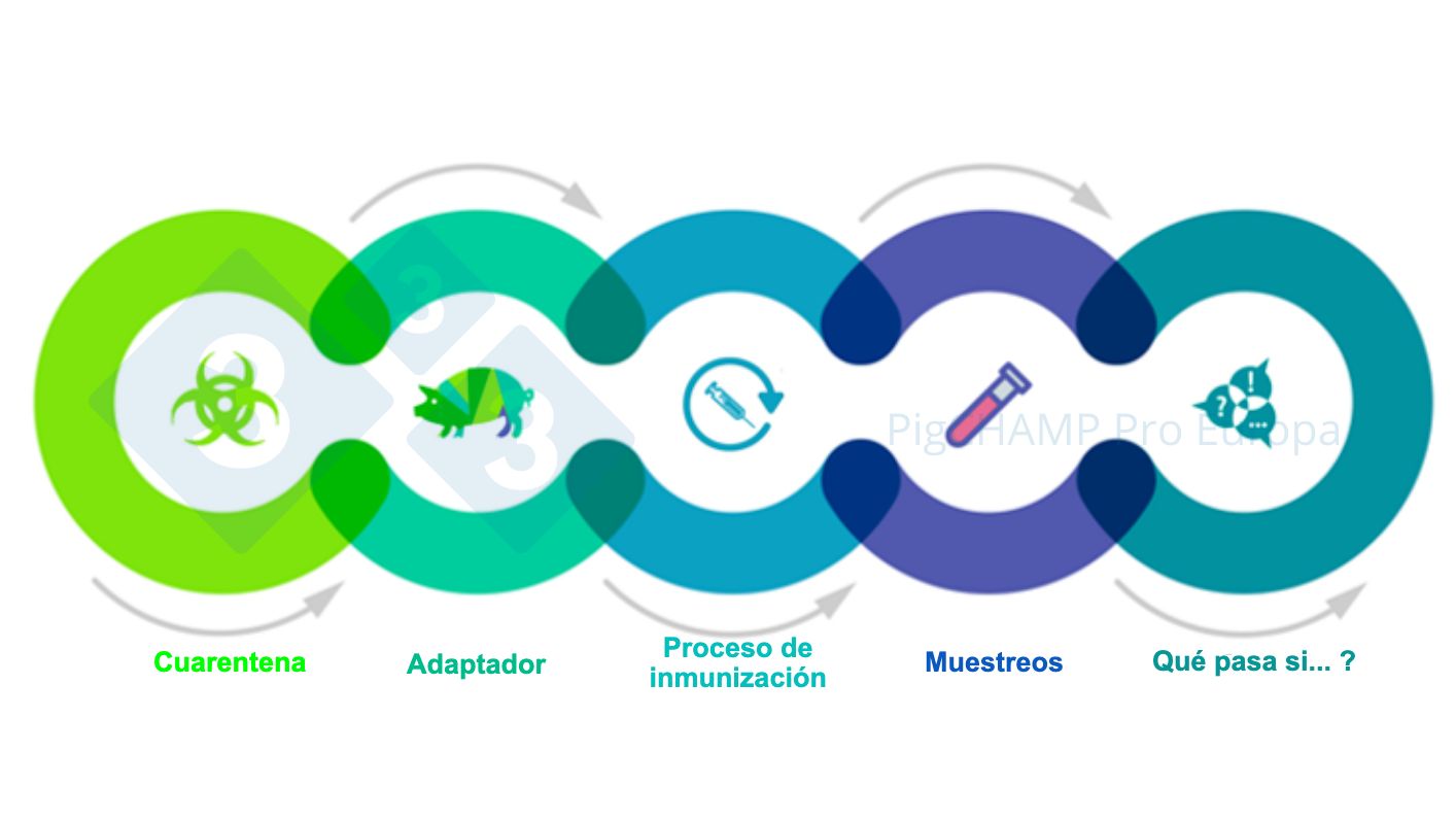 Figura 1. Aspectos principais interligados que devem ser conhecidos antes da visita.
