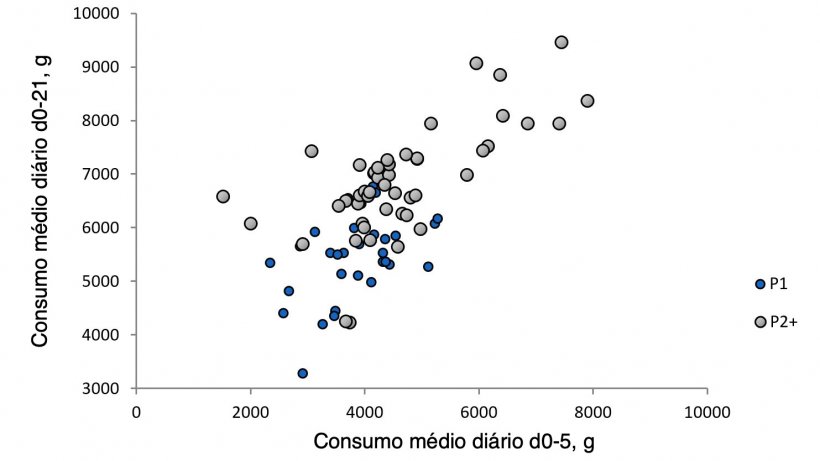 Ilustra&ccedil;&atilde;o 1.&nbsp;Rela&ccedil;&atilde;o entre o consumo m&eacute;dio di&aacute;rio da porca nos primeiros cinco dias de lacta&ccedil;&atilde;o e o consumo durante o resto da lacta&ccedil;&atilde;o.&nbsp;(Nutreco R &amp; D, 2015)

