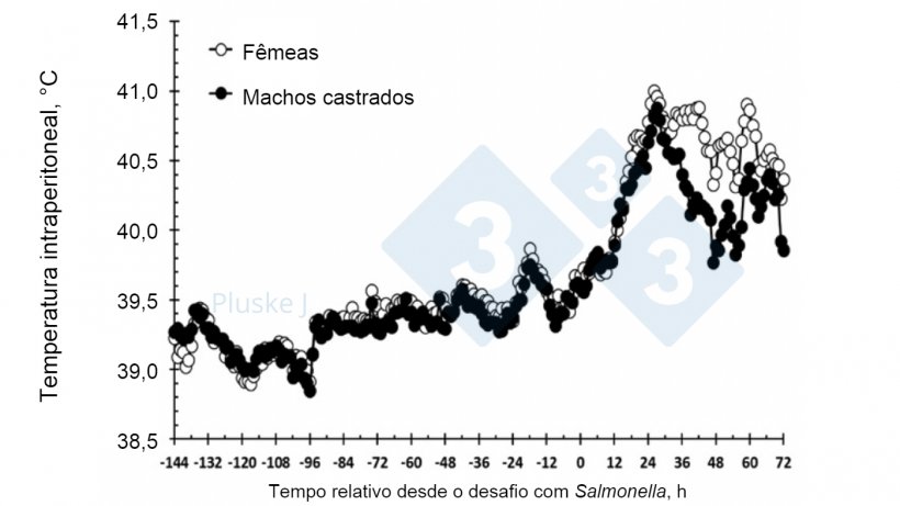 Figura 2. Efeito de ser f&ecirc;mea ou macho castrado na resposta da temperatura intraperitoneal a um desafio oral com Salmonella typhimurium. Houve uma intera&ccedil;&atilde;o sexo-tempo (P &lt;0,001) em que a f&ecirc;mea teve uma temperatura mais elevada do que os su&iacute;nos castrados entre 36-63 e 72 h ap&oacute;s o desafio. (Burdick Sanchez et al., 2017).
