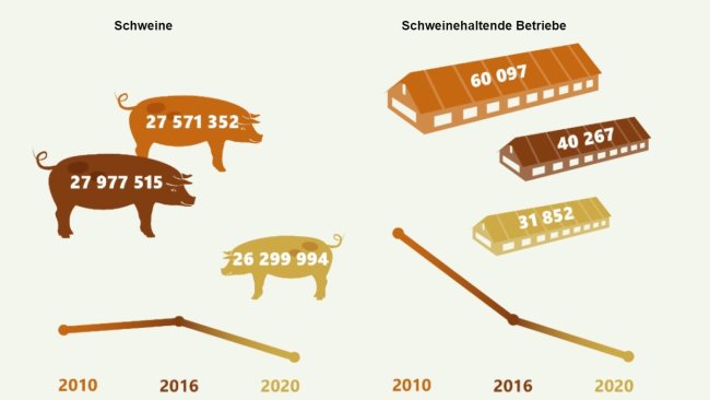 Desenvolvimento de fazendas e rebanhos de suínos na Alemanha 2010-2020. Fonte: Destatis