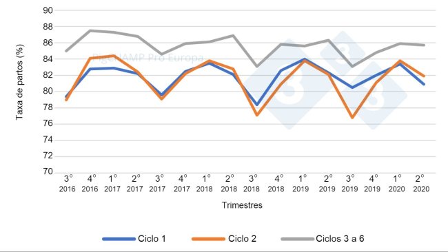 Gráfico 4. Taxa de partos por ciclo e trimestres de cobertura, 16 de julho a 20 de junho.