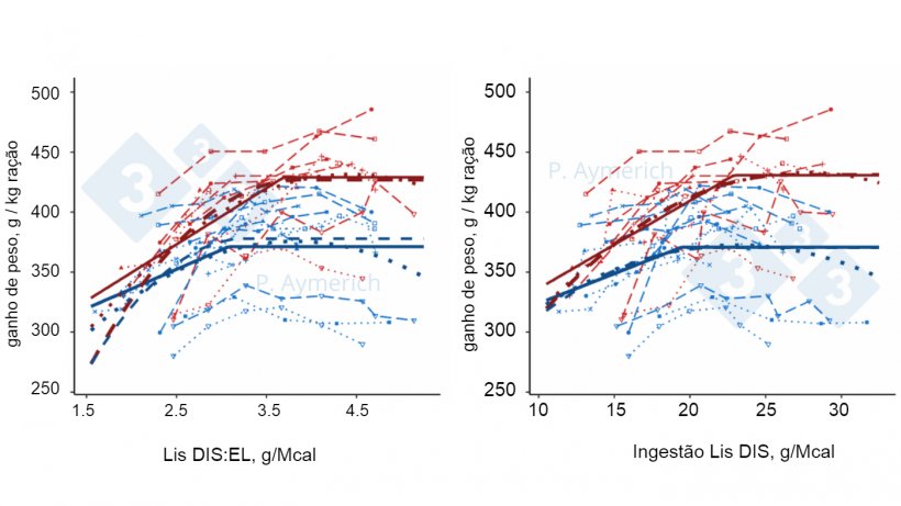 Figura 2. Modelagem do efeito da rela&ccedil;&atilde;o lisina-energia e ingest&atilde;o di&aacute;ria de lisina em machos inteiros (vermelho) e f&ecirc;meas (azul) na efici&ecirc;ncia de convers&atilde;o (Aymerich et al., 2021).
