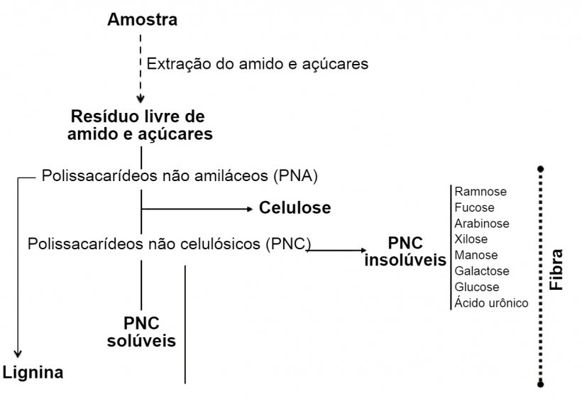 Figura 1. Determina&ccedil;&atilde;o de polissacarideos n&atilde;o amil&aacute;ceos, lignina e fibra por um procedimento enzim&aacute;tico-qu&iacute;mico. Knudsen (2014).
