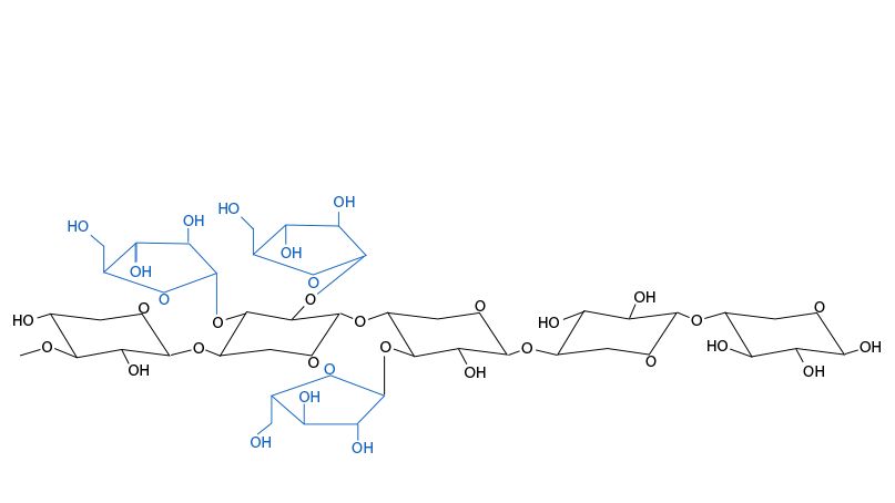 Figura 3.Estrutura qu&iacute;mica de dois arabinoxilanos. Como os ramos da arabinose e sua distribui&ccedil;&atilde;o variam entre os cereais e entre as variedades do mesmo cereal.
