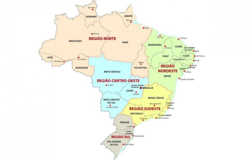 Figura 1. Mapa do Brasil por estados e regi&otilde;es.
