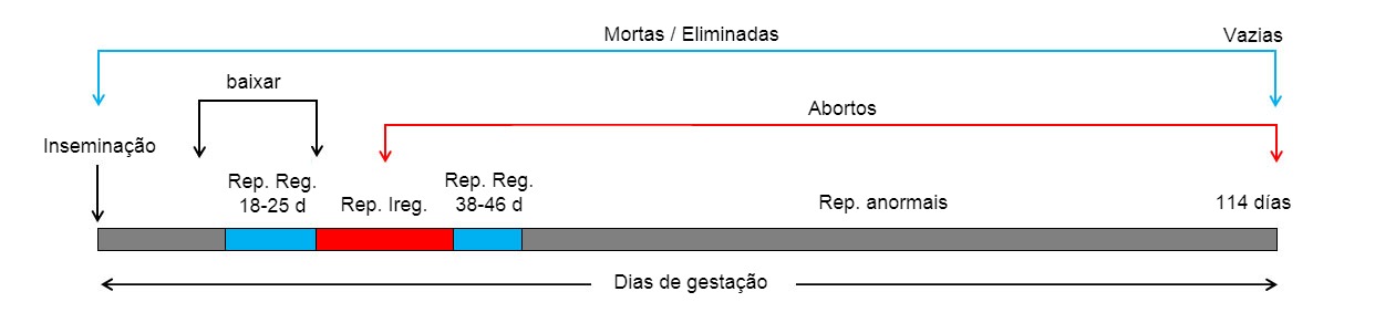 Dias de gestação da fêmea e possível perda de cobertura no parto