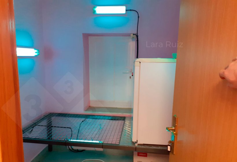 Figura 3. Sala ultravioleta para entrada de pequenos materiais. Nesse caso, essa sala tamb&eacute;m serve para ter a geladeira para receber o s&ecirc;men de fora. Foto cortesia de Lara Ruiz
