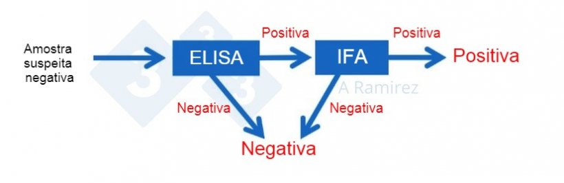Figura 2. Diagrama demonstrando o uso de IFA como um teste confirmat&oacute;rio para amostras que s&atilde;o positivas para PSA&nbsp;por ELISA. Uma amostra negativa presumida que gera&nbsp;um resultado ELISA negativo &eacute; considerada negativa. Se o resultado da amostrar der&nbsp;positivo, ent&atilde;o o teste&nbsp;IFA pode ser realizado como um teste de confirma&ccedil;&atilde;o. Ou seja, se o teste IFA for positivo, a amostra &eacute; confirmada como positiva. Se o teste IFA for negativo, presumiremos que foi um falso positivo, desde que o PCR tamb&eacute;m seja negativo para confirmar que n&atilde;o h&aacute; infec&ccedil;&atilde;o recente.
