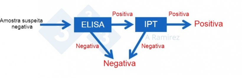 Figura 3. Diagrama demonstrando o uso de IPT como um teste confirmat&oacute;rio para amostras que s&atilde;o positivas para PSA por ELISA. Uma amostra negativa presumida que gera&nbsp;um resultado ELISA negativo &eacute; considerada negativa. Se o resultado da amostra der positivo, ent&atilde;o o teste&nbsp;IPT pode ser realizado como um teste de confirma&ccedil;&atilde;o. Ou seja, se o teste IPT for positivo, a amostra &eacute; confirmada como positiva. Se o teste IPT for negativo, assumiremos que foi um falso positivo, desde que a PCR tamb&eacute;m seja negativa para confirmar que n&atilde;o h&aacute; infec&ccedil;&atilde;o recente.
