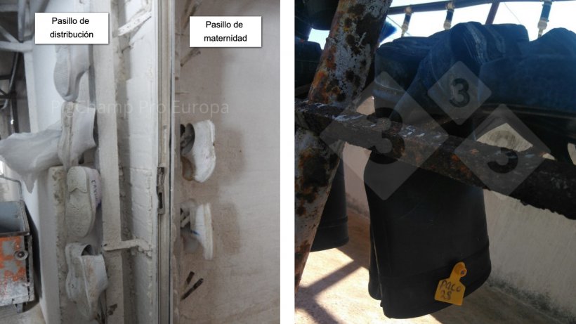 Imagem&nbsp;3 (esquerda).&nbsp;&Aacute;rea de troca entre corredor de distribui&ccedil;&atilde;o e maternidade.

Imagem&nbsp;4 (direita)&nbsp;Marca&ccedil;&atilde;o de cal&ccedil;ado com brincos coloridos.
