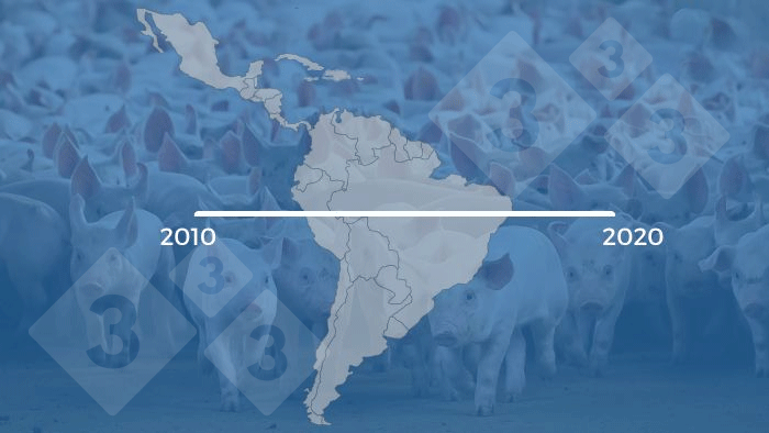 Evolução da suinocultura na América Latina