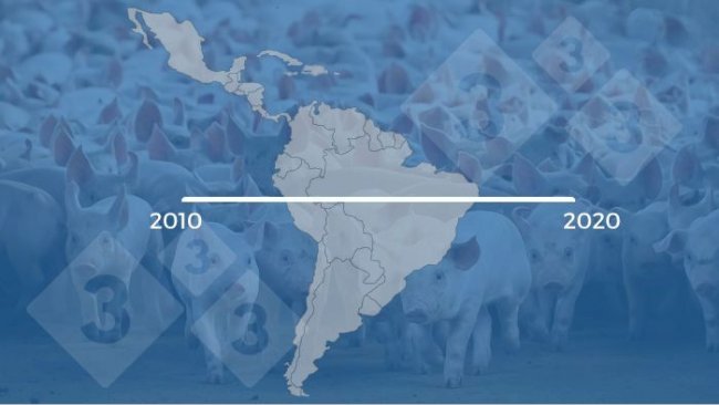 Evolução da suinocultura na América Latina