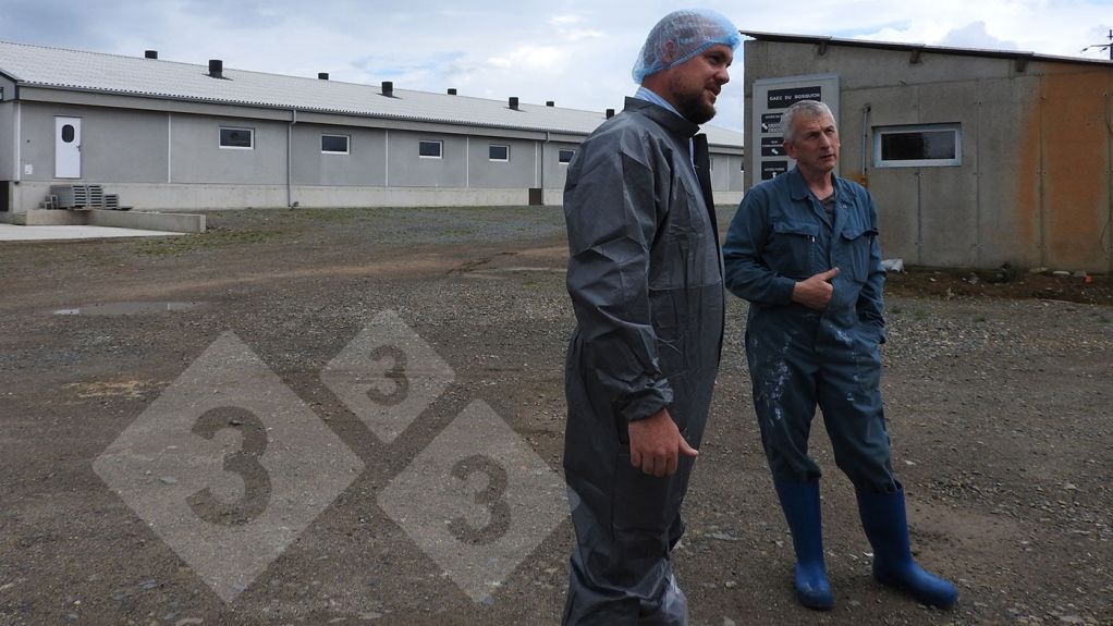 Confinamento em uma granja de su&iacute;nos localizada em Hennon, Bretanha, que faz parte da cooperativa Cooperl.
