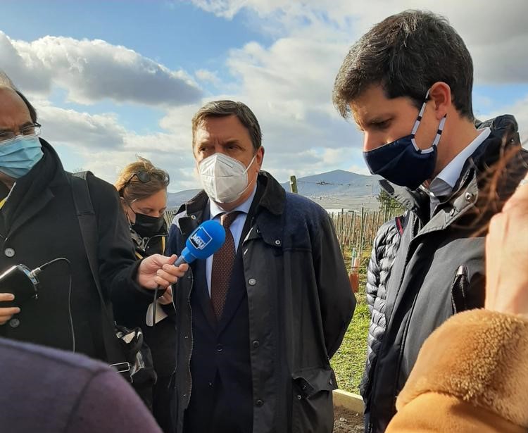 agricultura de carbono