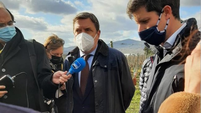 agricultura de carbono