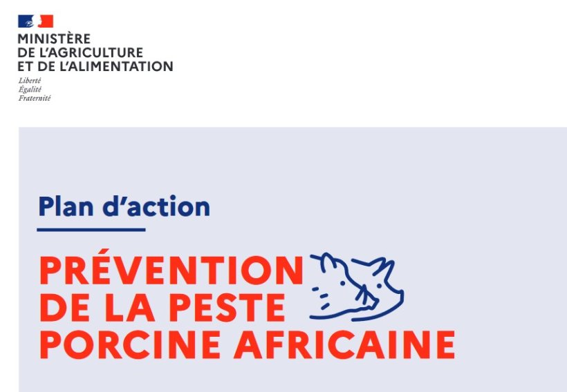 peste suína africana