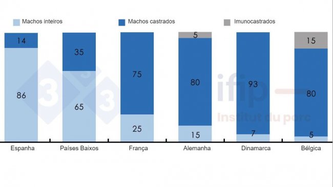 Percentagens de abate de su&iacute;nos separados em&nbsp;machos inteiros, castrados ou imunocastrados.
