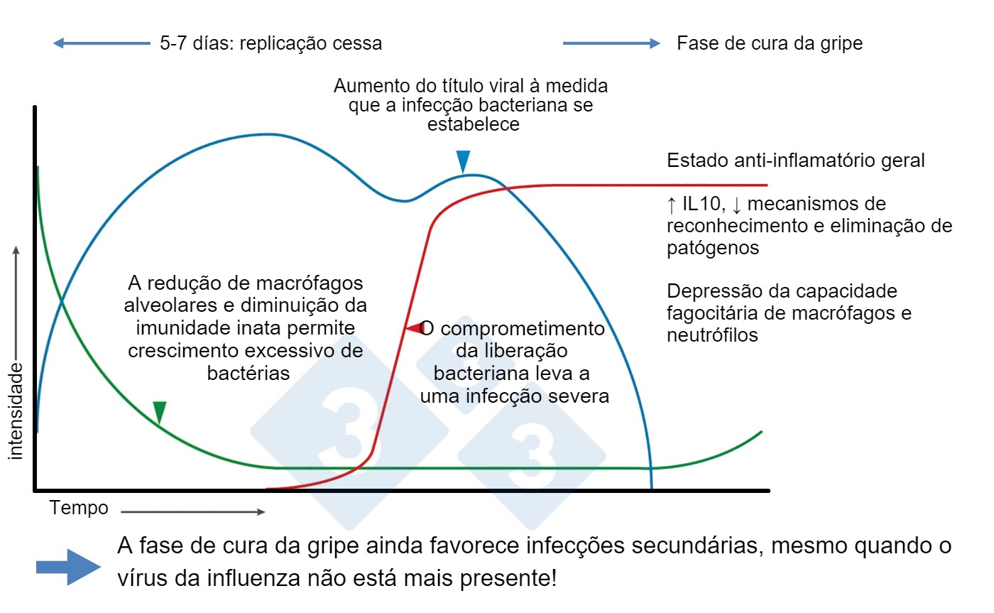 Modificado de McCullers