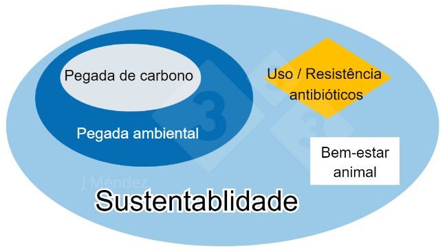 Figura 1. Principais conceitos de sustentabilidade.
