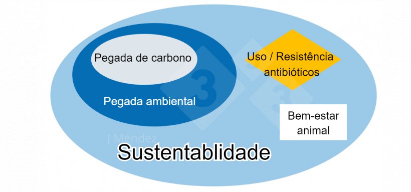 Figura 1. Principais conceitos de sustentabilidade.
