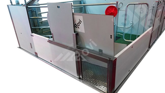 Figura 1. Sala de maternidade com portas que dão aos leitões acesso a sala adjacente.