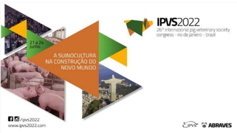 Fonte: IPVS2022.