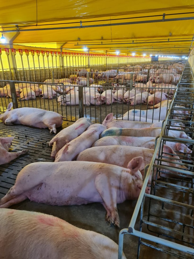 Fonte: Arquivo pessoal - Djane.