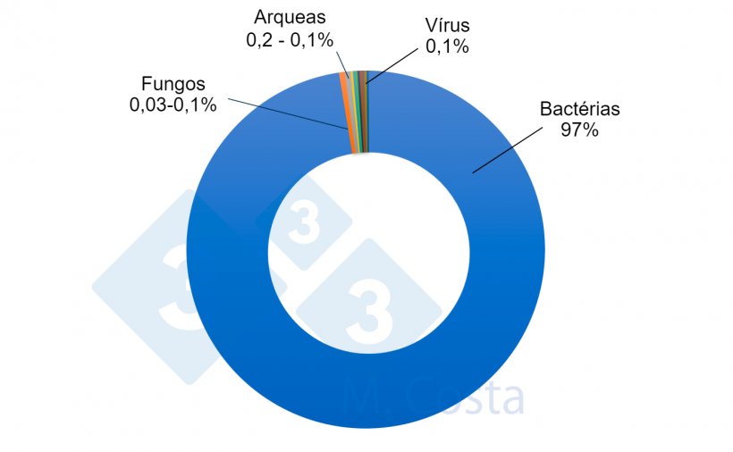 Figura 1 - Propor&ccedil;&atilde;o relativa estimada dos diferentes microrganismos no microbioma do intestino su&iacute;no. Embora as bact&eacute;rias representem a grande maioria dos microrganismos&nbsp;no intestino su&iacute;no, outros microrganismos desempenham um papel importante na complexa rede que constitui a intera&ccedil;&atilde;o entre o intestino e a microbiota.
