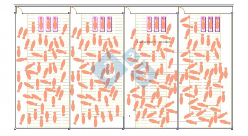 Cada baia tem um desenho diferente dos pisos duros e sulcados, os pisos duros s&atilde;o colocados contra as paredes para dar conforto &agrave;s matrizes.
