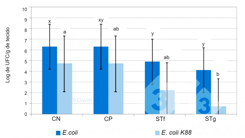 Figura&nbsp;1. E. coli total&nbsp;e E. coli espec&iacute;fica K88 aderidas &agrave; mucosa do &iacute;leo de leit&otilde;es desmamados ap&oacute;s um desafio com E. coli K88 (adaptado de Molist et al. 2011). x,y Diferentes sobrescritos em uma barra indicam uma diferen&ccedil;a significativa entre os tratamentos diet&eacute;ticos (P &lt; 0,05).
