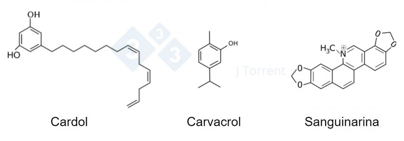 Figura 2. Compara&ccedil;&atilde;o da estrutura qu&iacute;mica de tr&ecirc;s produtos fitog&ecirc;nicos.
