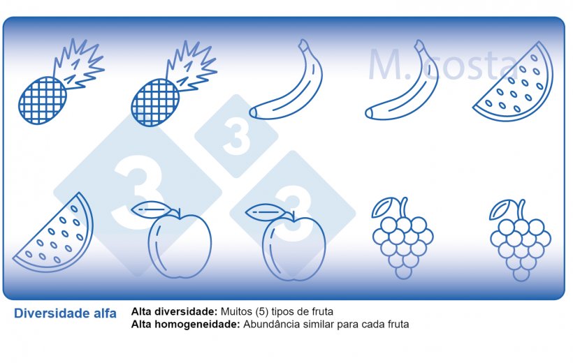 Figura 2. Como interpretar as medidas de diversidade microbiana das amostras (diversidade alfa). A variedade &eacute; um par&acirc;metro de diversidade (por exemplo, tipos de frutas) e homogeneidade (por exemplo, distribui&ccedil;&atilde;o ou abund&acirc;ncia de cada tipo de fruta) em uma determinada amostra.
