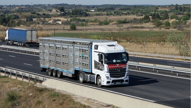 Transporte de cargas