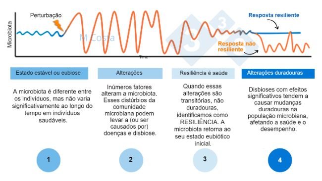 Figura 1 - Diagrama hipotético representando a resposta da microbiota a um distúrbio. 1) Indivíduos saudáveis têm um grau normal de variação em sua microbiota, o que não leva à doença (isso é chamado de eubiose). 2) Um distúrbio (por exemplo, estresse térmico) pode levar à instabilidade da microbiota, causando doenças. 3) A microbiota resiliente retornará a um estado semelhante ao anterior ao distúrbio, no qual não há doença. 4) A microbiota que não é resiliente não “se recupera” e sofrerá de disbiose e doenças.