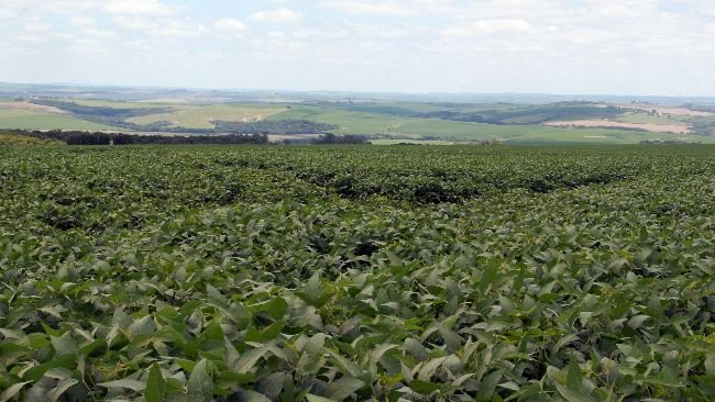 Foto: Gilson Abreu/AEN.