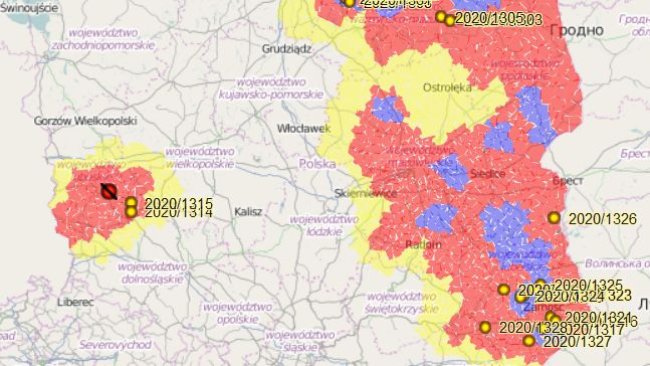 Primeiro foco de PSA em suínos domésticos ao oeste do país.
