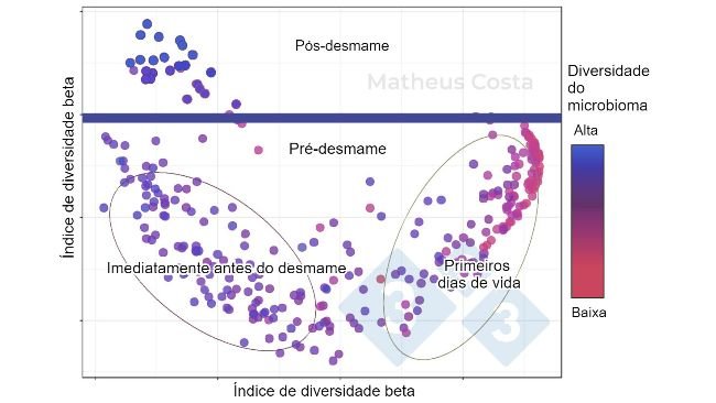 Figura 1. Gráfico de dispersão mostrando as associações entre a composição do microbioma dos suínos durante os primeiros dias de vida (0-7 dias), imediatamente antes do desmame (21 dias) e após o desmame (100 dias). A maior mudança é observada entre as amostras pré-desmame e pós-desmame. A diversidade alfa atinge o pico após o desmame (mostrado como "diversidade do microbioma").