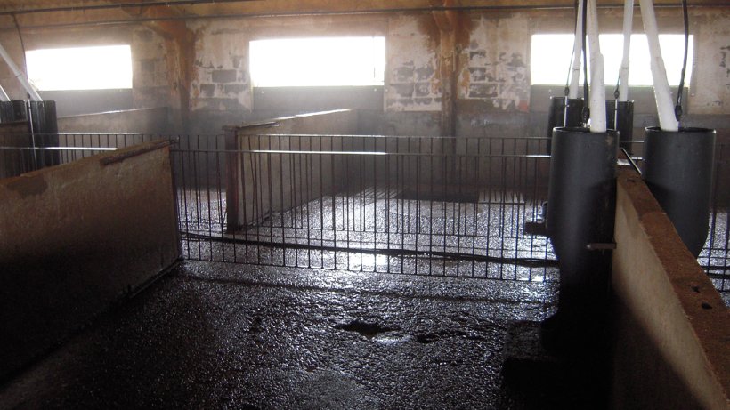 Persistência de coronavirus em superfícies