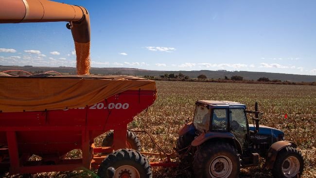 Foto: Wenderson Araujo/CNA.