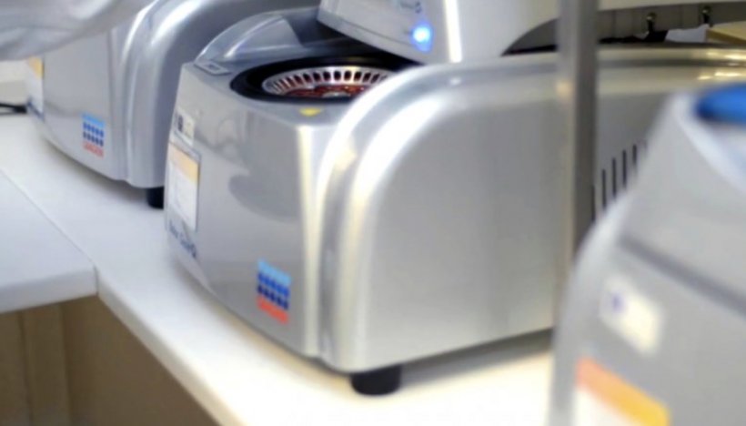 PCR