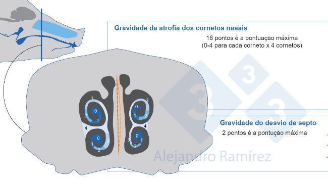 M&eacute;todo da Farmacopeia Europeia para avalia&ccedil;&atilde;o de les&otilde;es de cornetos.
